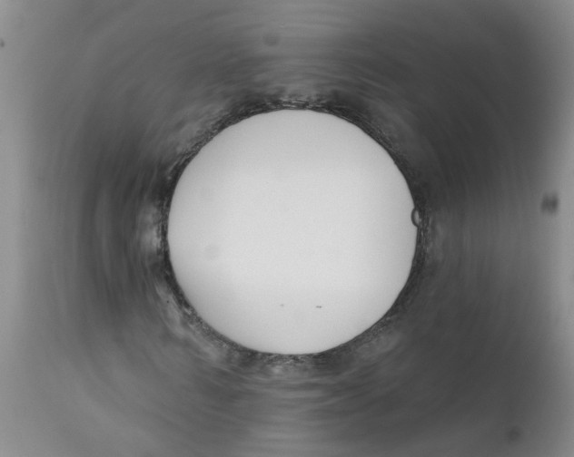 X0000112390962200909101407
