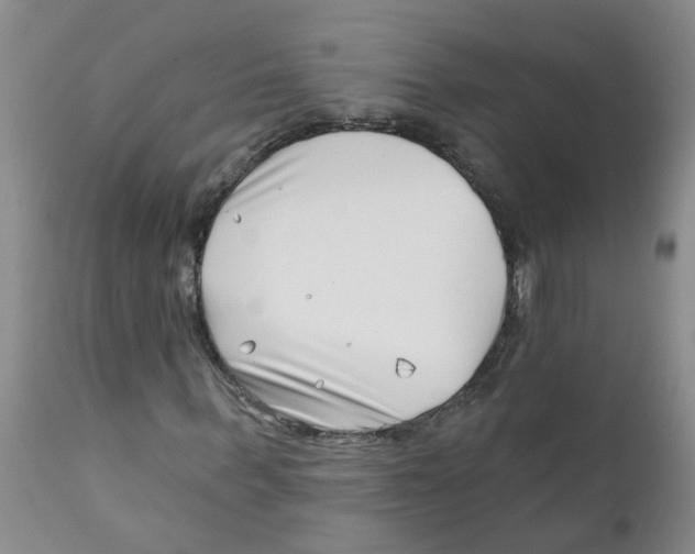 X0000112390963200909101407