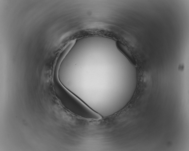 X0000112390965200909101407