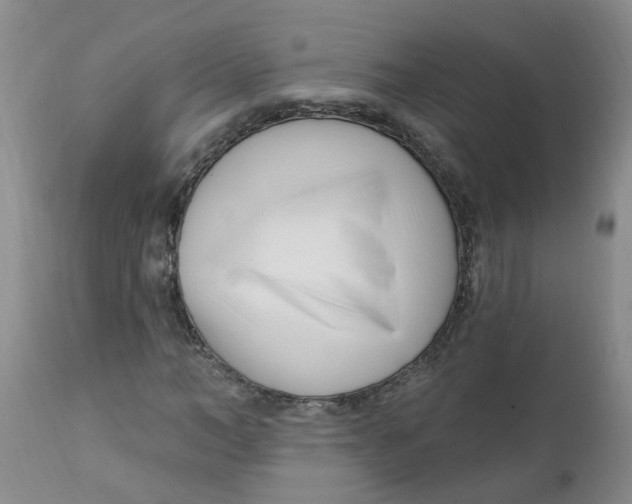 X0000112390966200909101407