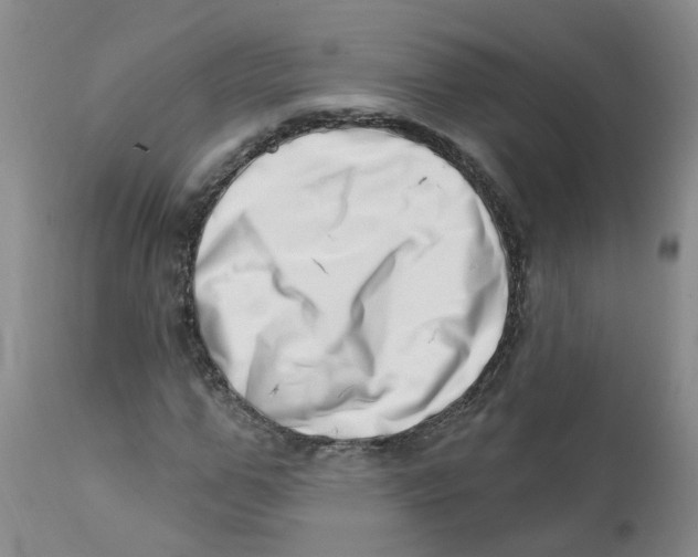 X0000112390967200909101407