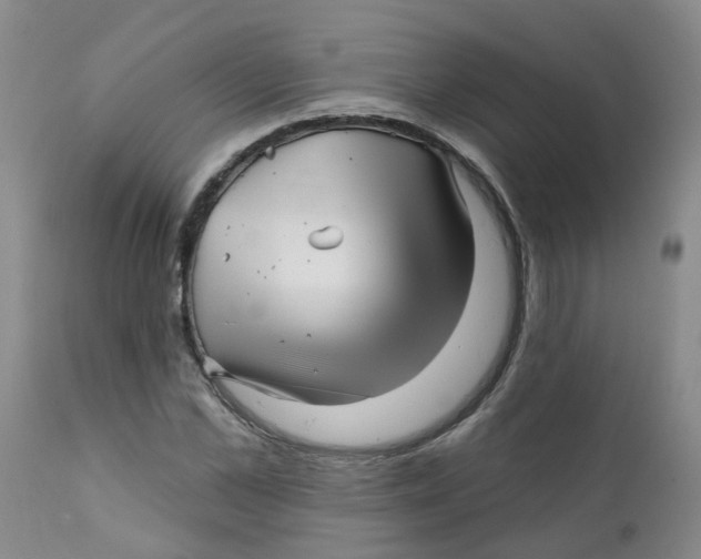 X0000112390973200909101407