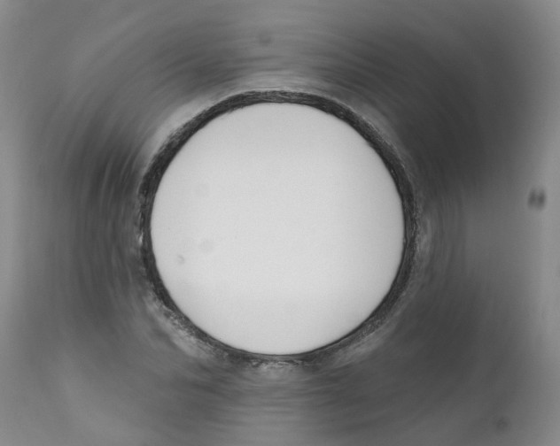 X0000112390974200909101407