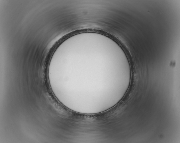 X0000112390975200909101407