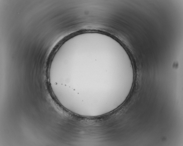 X0000112390976200909101407