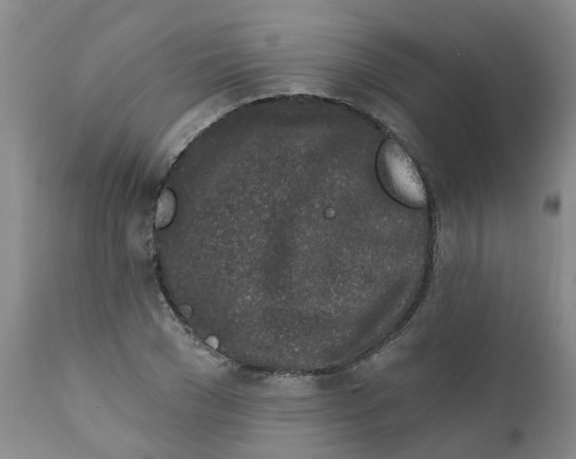 X0000112390977200909101407