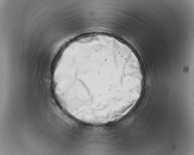 X0000112390979200909101407
