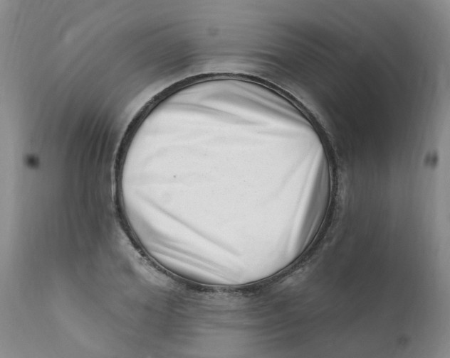 X0000112390980200909101407