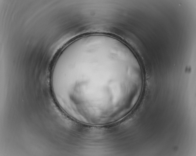 X0000112390981200909101407