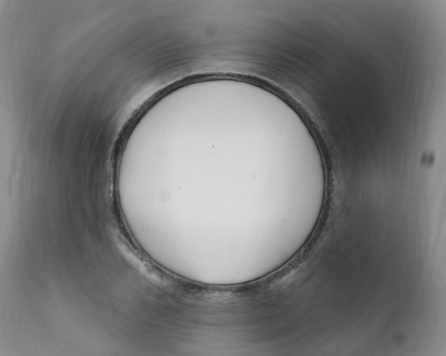 X0000112390982200909101407