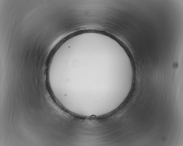 X0000112390983200909101407