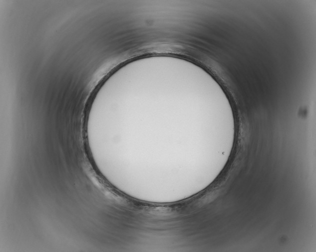 X0000112390986200909101407