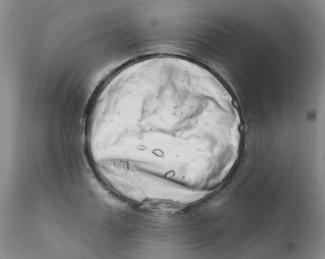 X0000112390987200909101407