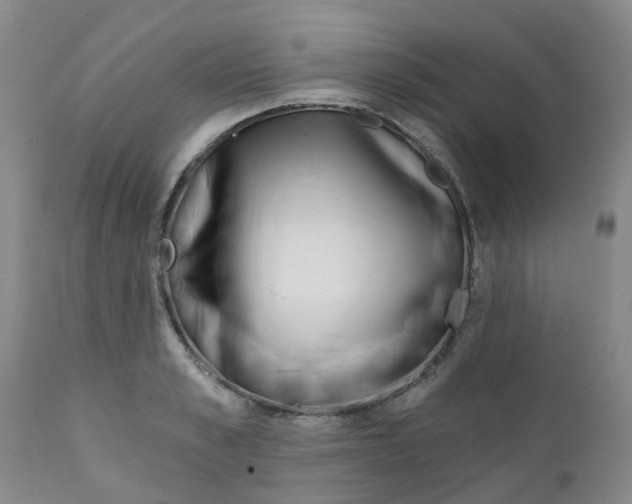 X0000112390989200909101407