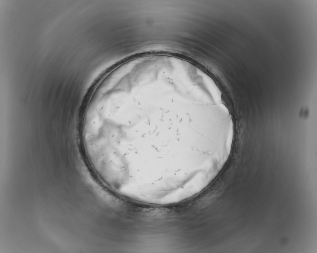 X0000112390991200909101407