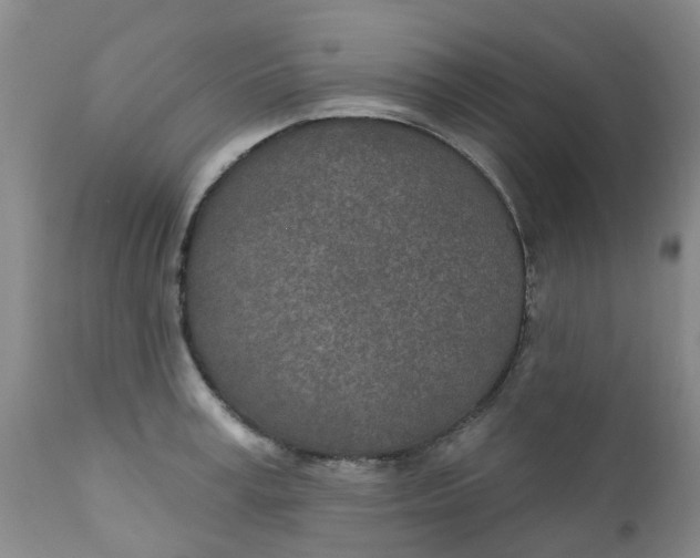X0000112390995200909101407