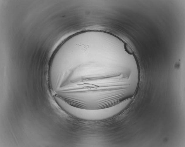 X0000112391000200909101406