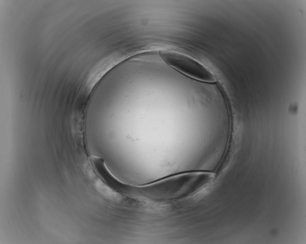 X0000112391001200909101406