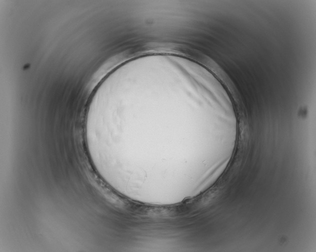 X0000112391002200909101406