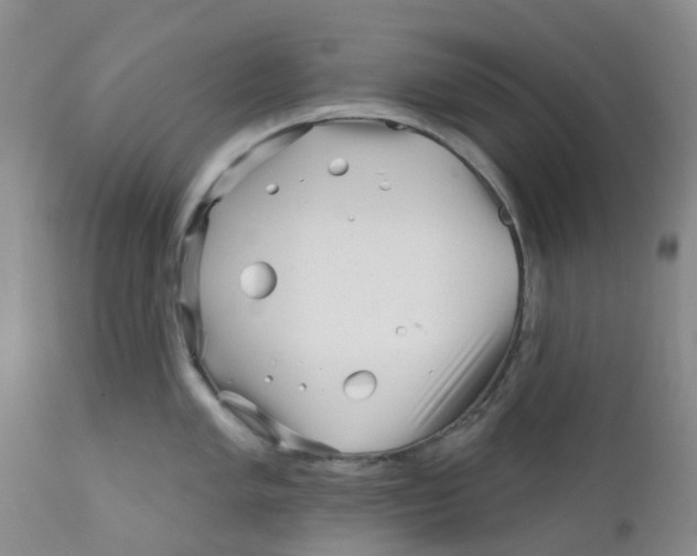 X0000112391005200909101406