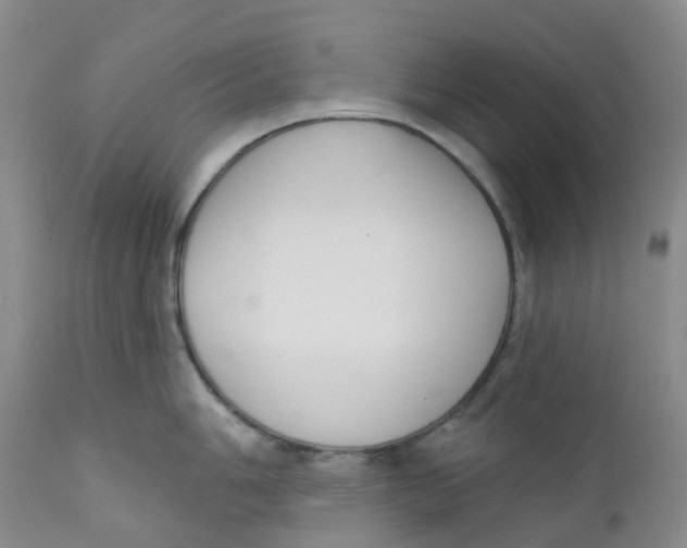 X0000112391006200909101406
