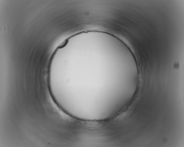 X0000112391007200909101406