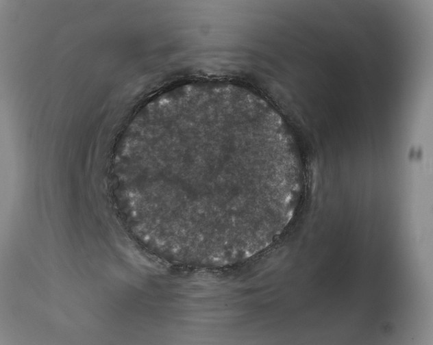 X0000112391009200909101406