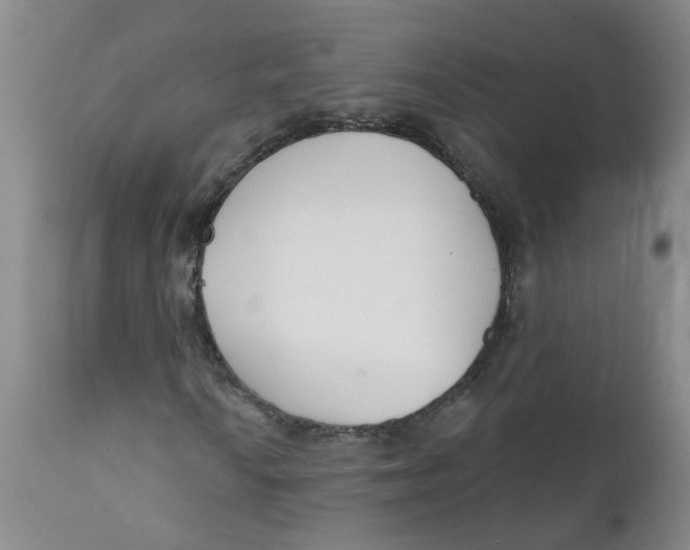 X0000112391010200909101406