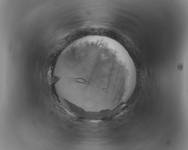 X0000112391013200909101406
