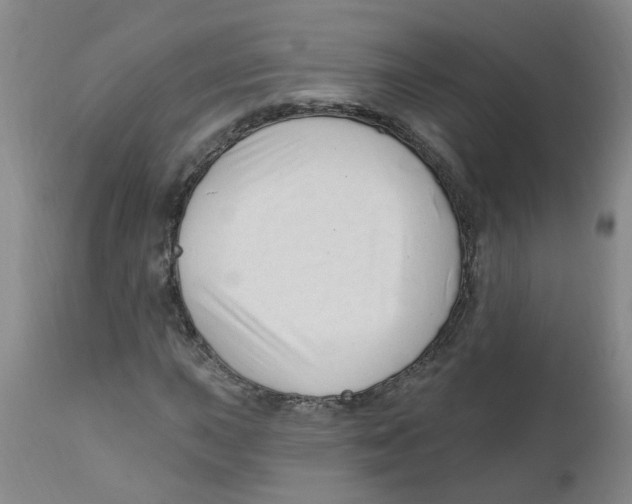 X0000112391015200909101406
