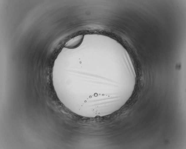 X0000112391016200909101406