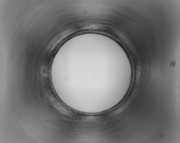 X0000112391017200909101406