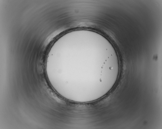 X0000112391018200909101406