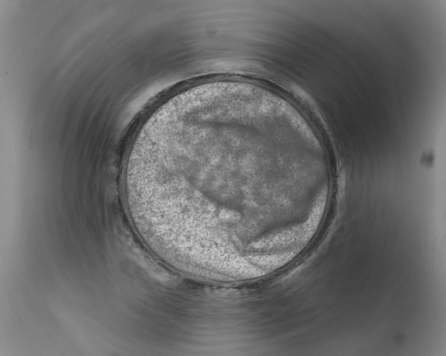 X0000112391019200909101406