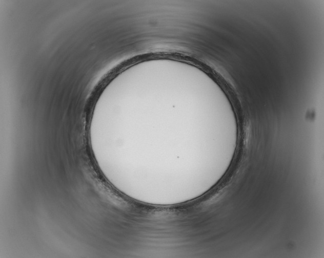 X0000112391021200909101406