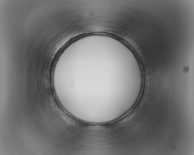 X0000112391023200909101406