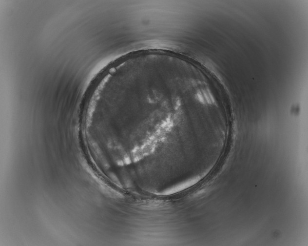 X0000112391024200909101406