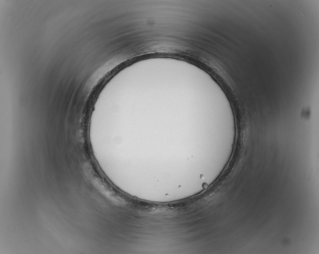 X0000112391026200909101406
