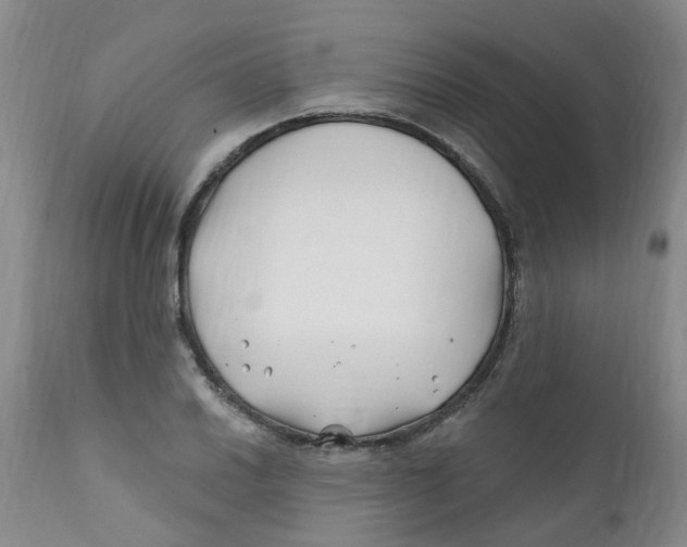 X0000112391030200909101406