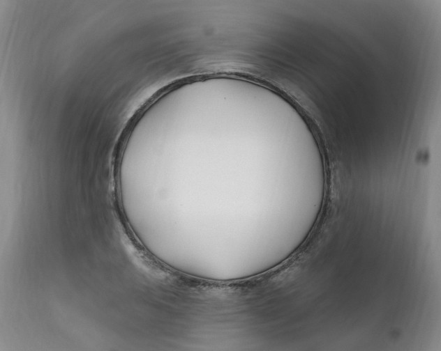 X0000112391031200909101406
