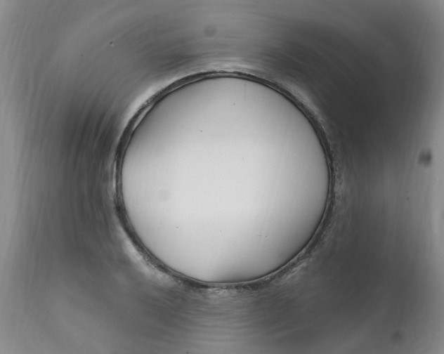 X0000112391032200909101406