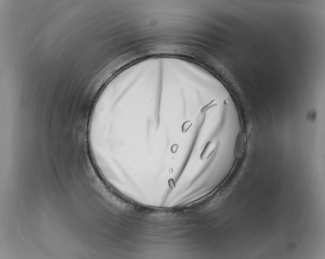 X0000112391033200909101406