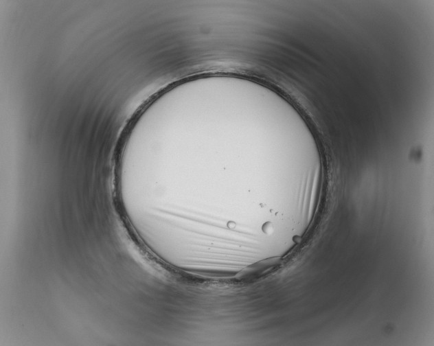 X0000112391034200909101406