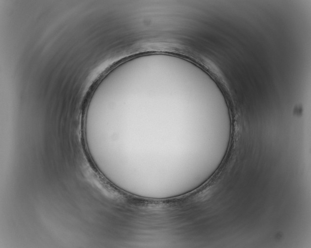 X0000112391035200909101406