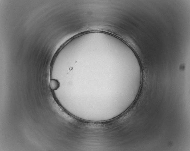 X0000112391036200909101406