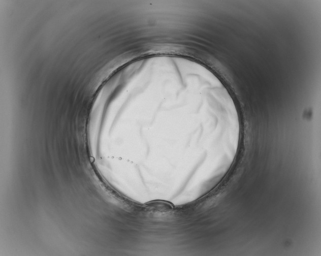 X0000112391041200909101406