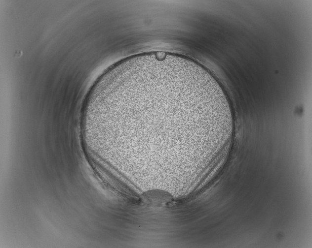 X0000112391043200909101406