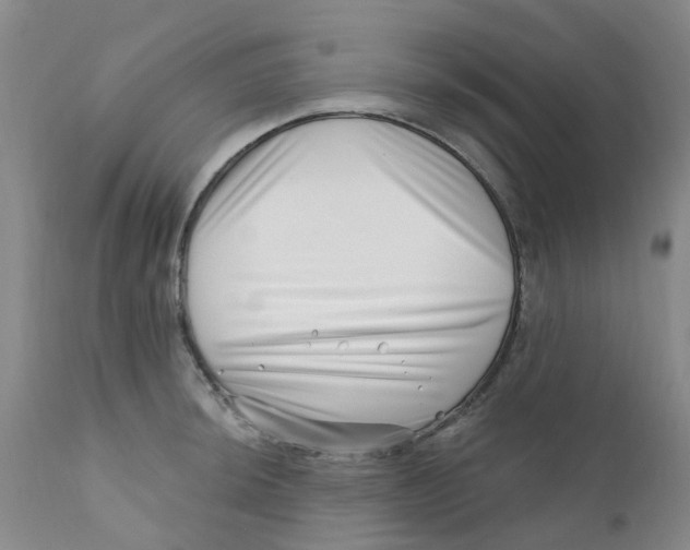 X0000112391044200909101406