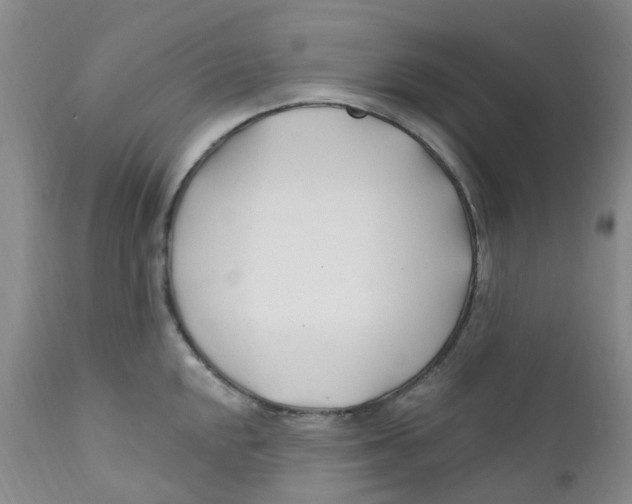 X0000112391048200909101406