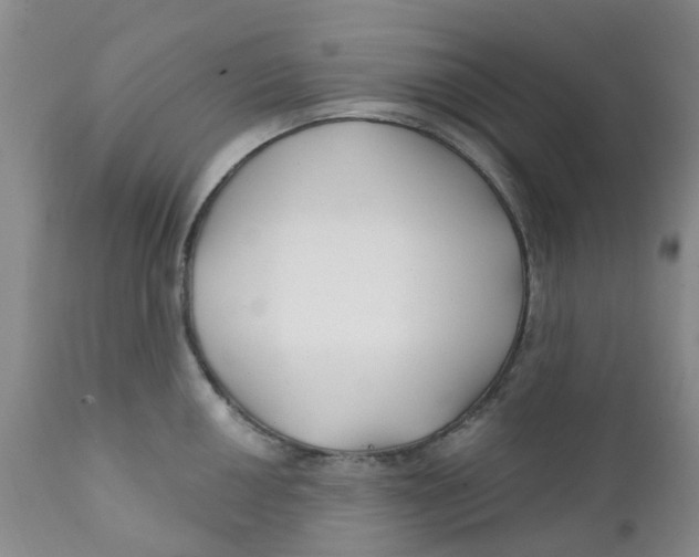 X0000112391050200909101406